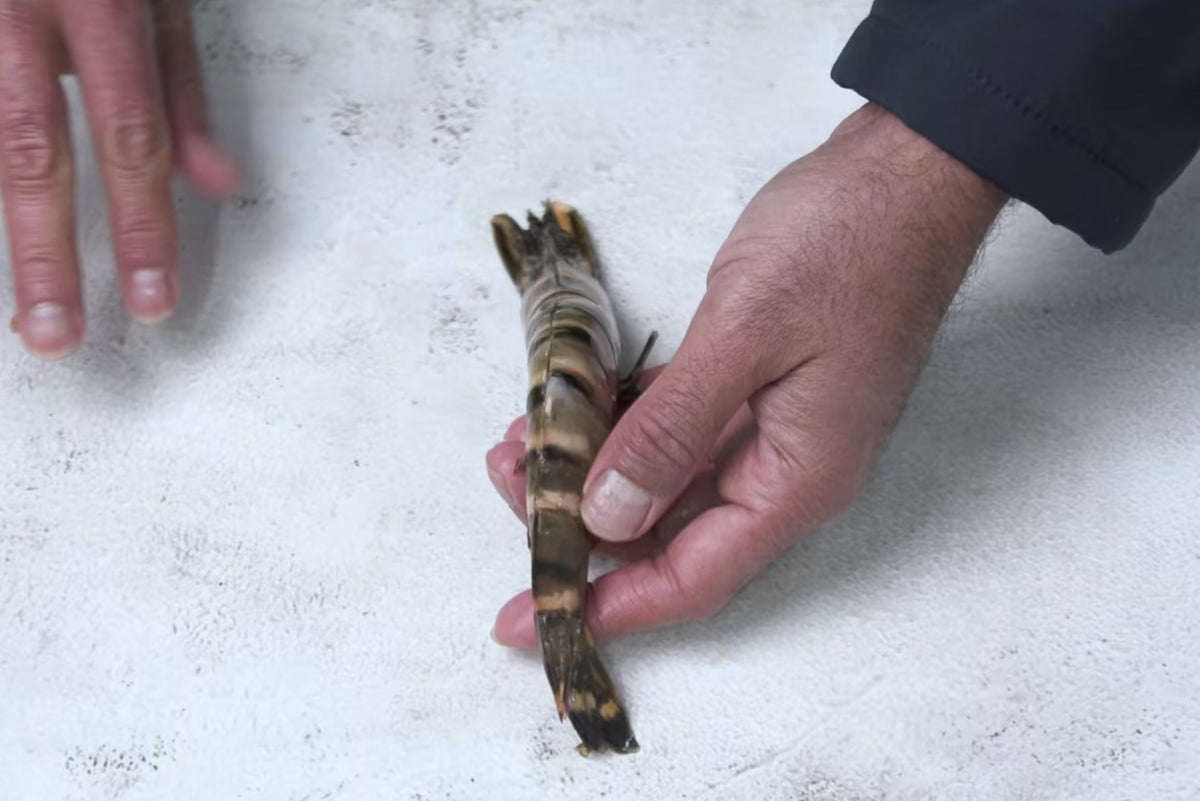 How to Devein a Prawn | How-to | Fresh Fish Delivery