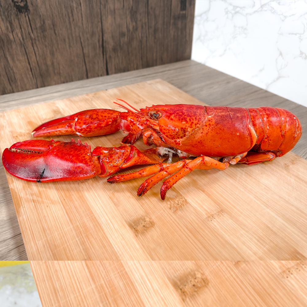 Cooked Whole Canadian Lobster