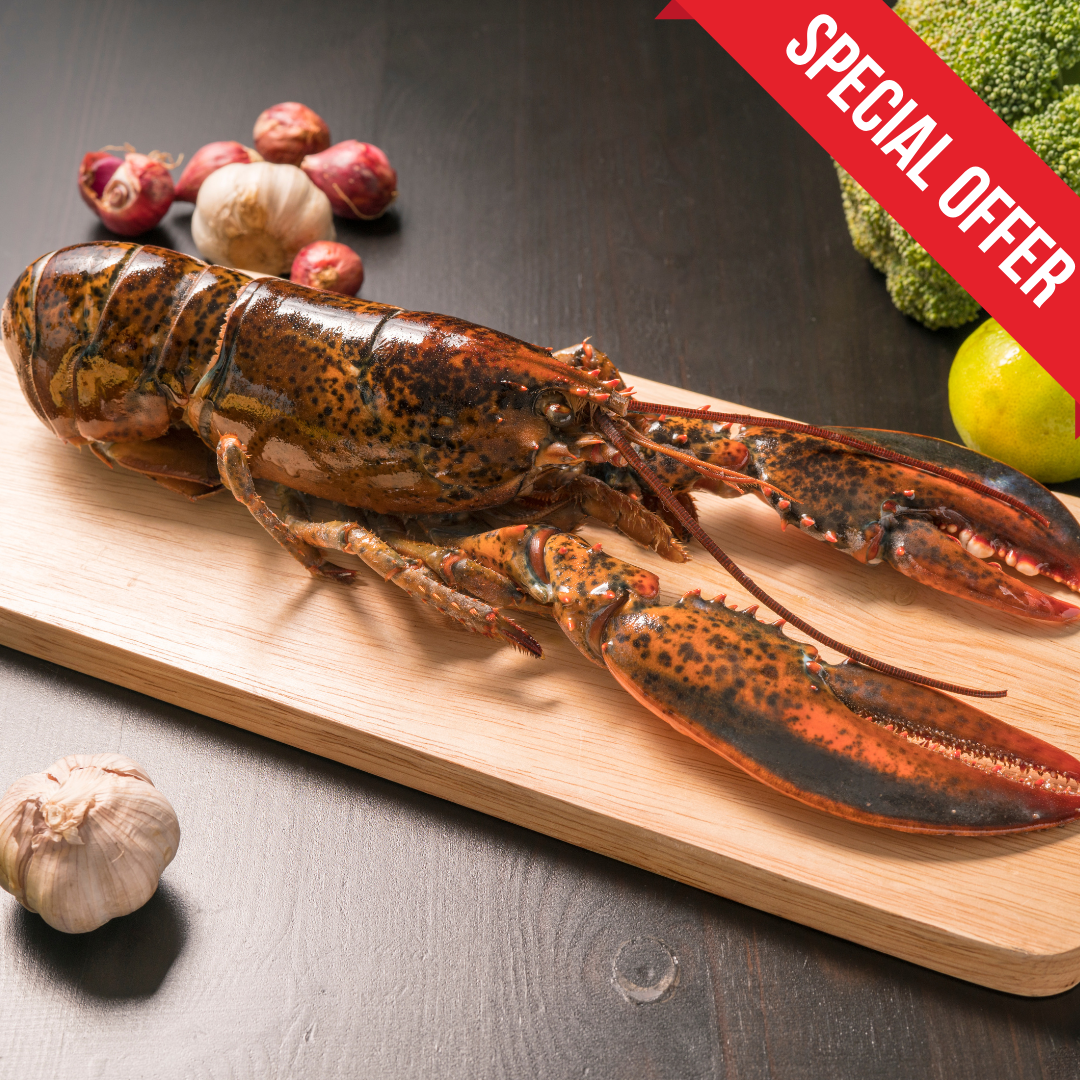 Canadian Whole Raw Lobster (700g)