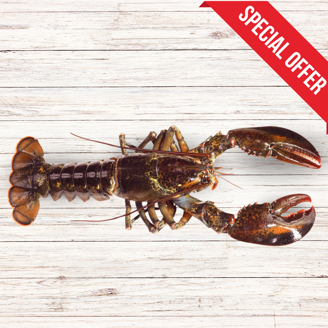 Canadian Whole Raw Lobster (700g)