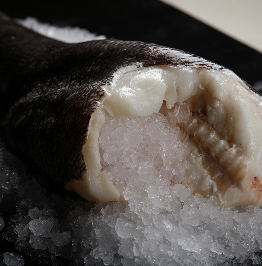 Where to buy black cod online? Black cod recipe.