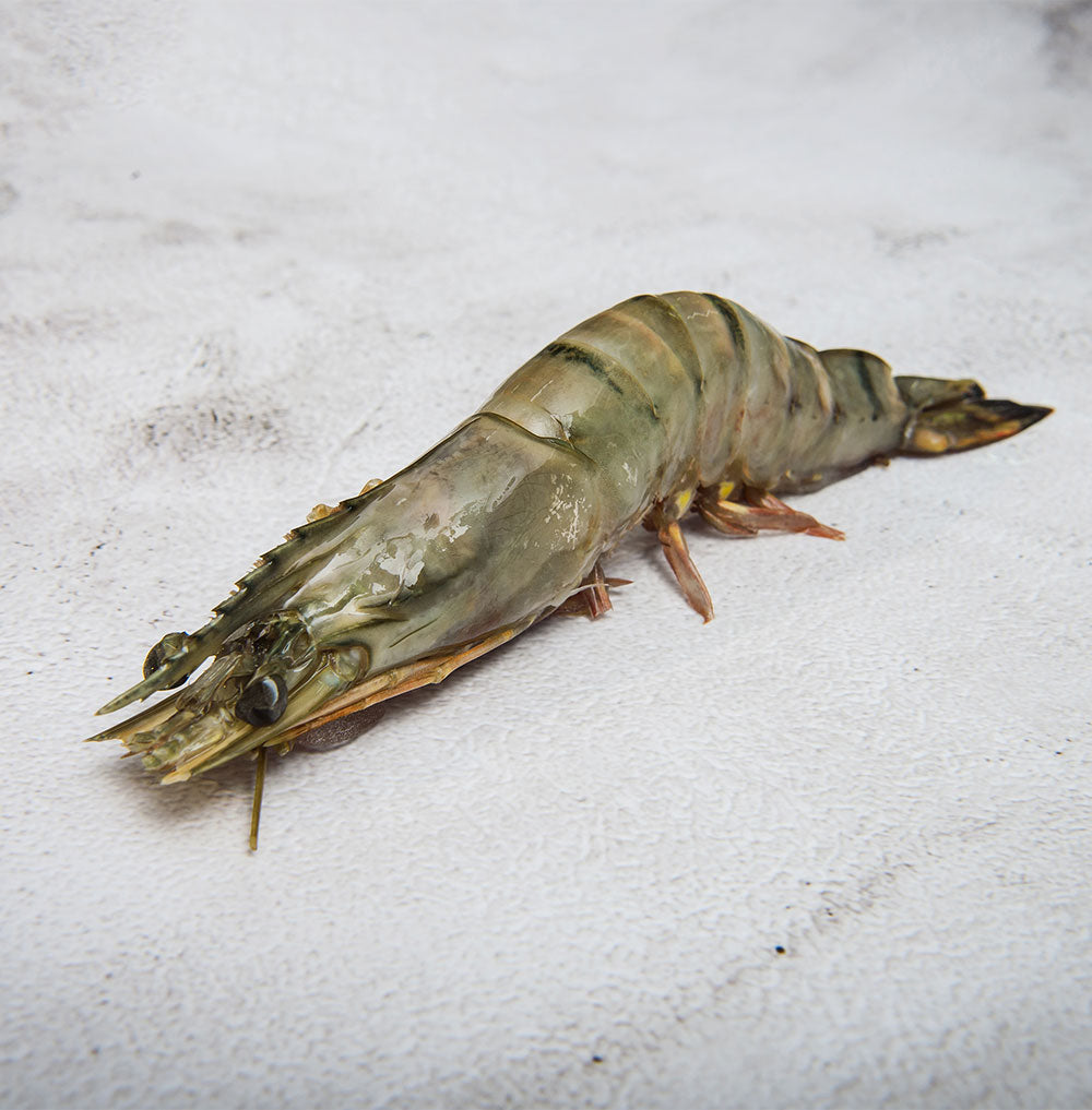 Order shellfish online for shellfish delivery straight to your door. From prawns, to lobster to crab and more!