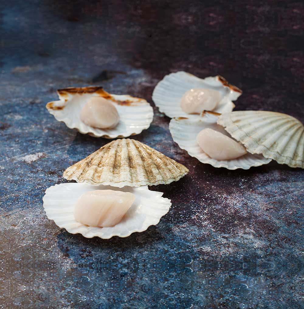 Buy scallops online. Scallop recipes. Order seafood online. Seafood pasta recipe.